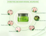 DR.RASHEL Aloe Vera Moisture Cream Skin Natural 3in1 Moisturizer Day/Night Lasting Moisturizing Cream 50g DRL-1534