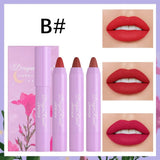 DRAGON RANEE 3pcs/set Matte Lipstick Pen Long Lasting Lipstick