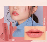 HENG FANG High Quality Makeup Nourishing Matte Organic Waterproof Lipstick Set. H138