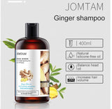 JOMTAM Ginger Herbal Shampoo Anti-Hair Loss Itching Dandruff Oil-Refreshing Control 400ml JMT57980