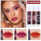 Dragon Ranee 3 PCS Liquid Matte Lipstick Set DR67A