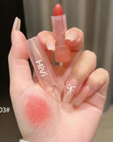 HiVi 10 Pcs Peach Soft Light  Matte Lipstick Set