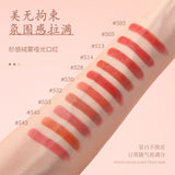 HiVi 10 Pcs Peach Soft Light  Matte Lipstick Set