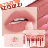 Dragon Ranee 5Pcs Long Lasting Moiturizing Matte Mini Lipistick Set