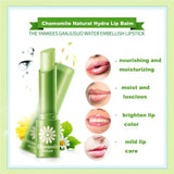 BIOQUA CHAMOMILE NATURAL LIP GLOSS Chamomile Moisturizing Lip Balm Repair Lips Wrinkles Fade Lip Lines Lipstick Lip Care BQY1760