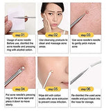 Miss Beauty New Stainless Steel Blackhead Remover Pin